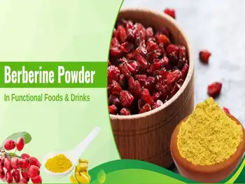 From Glucose Capsules to IV Antibiotics: Multi-Functional Berberine Powder Bulk
